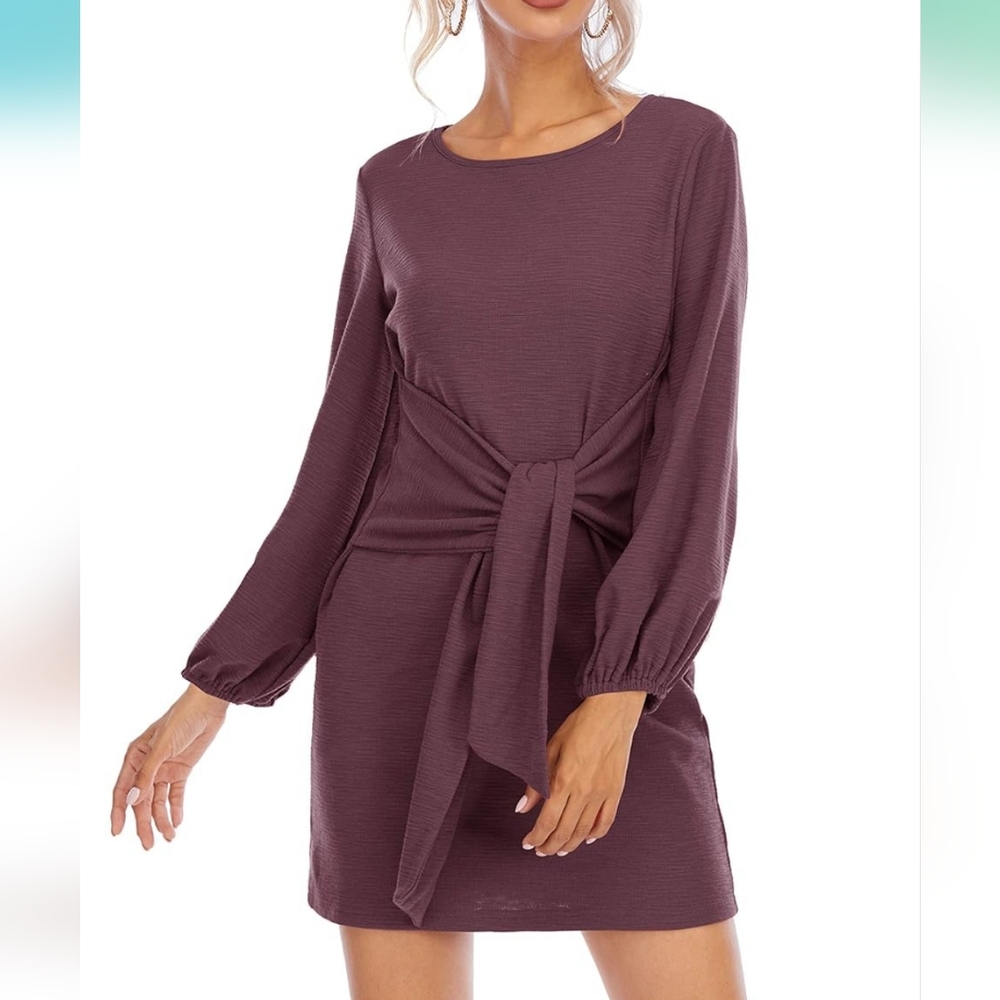 Chic Long Sleeve Dress in Rich Plum